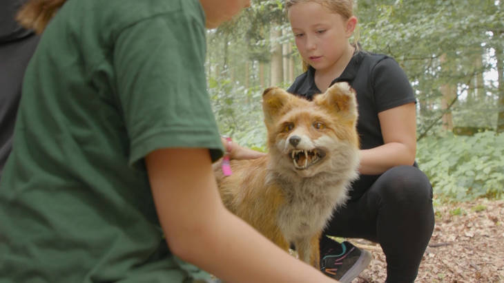 Wilder Wald statt Klassenzimmer